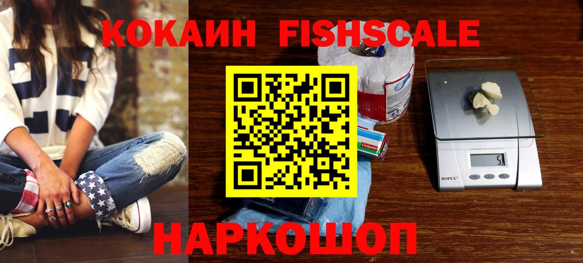 Новозыбков  КОКАИН Эквадор  где можно купить   COCAIN Fish Scale  Вход с VPN 