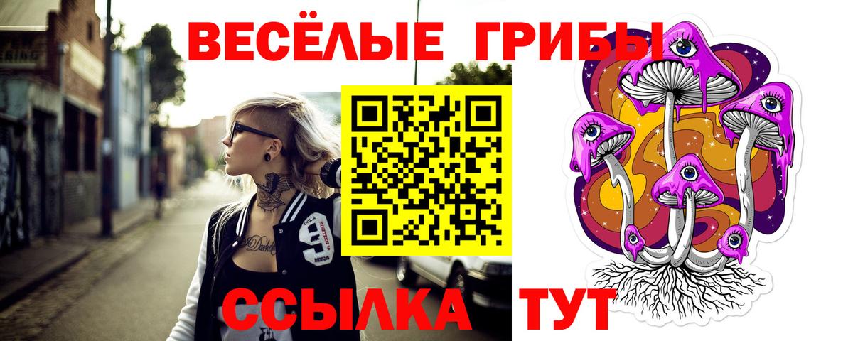 Новозыбков  Псилоцибиновые грибы Psilocybine cubensis  Вход с VPN  Галлюциногенные грибы Cubensis 