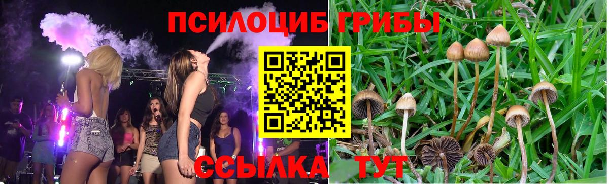 Псилоцибиновые грибы прущие грибы Новозыбков
